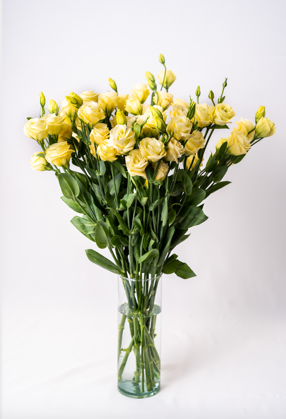 Single Variety Florals & Foliage