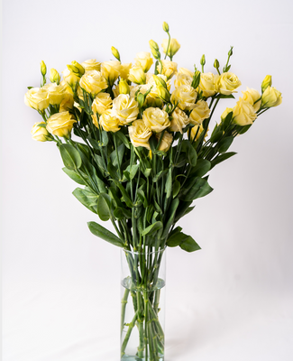 Single Variety Florals & Foliage