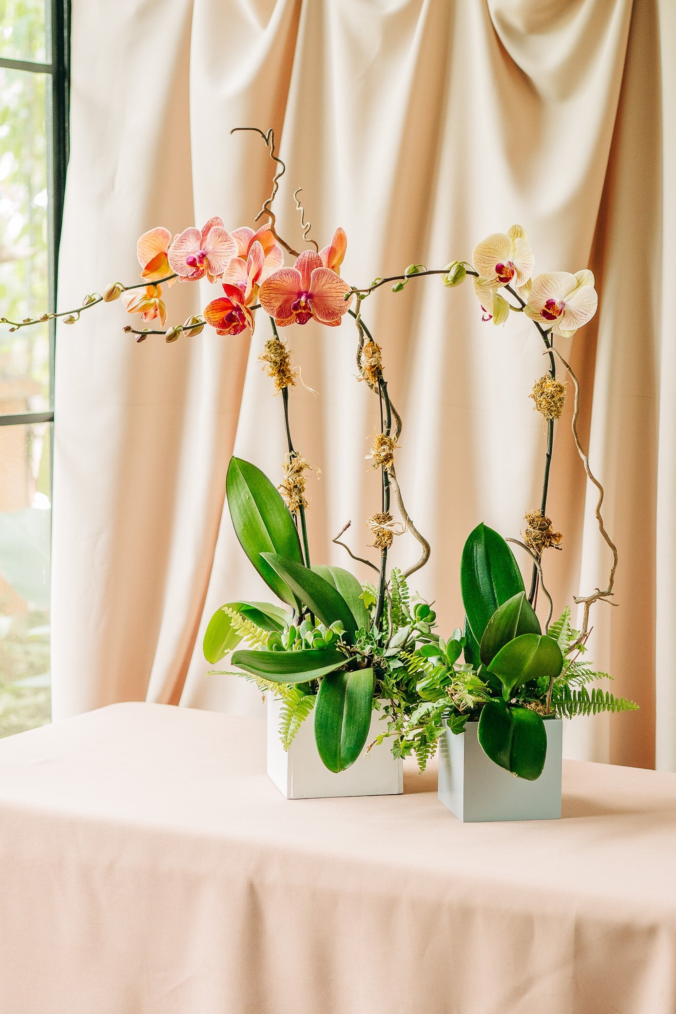 Orchids & Flowering Plants