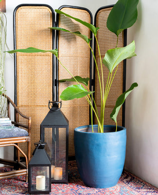 Pots & Decor