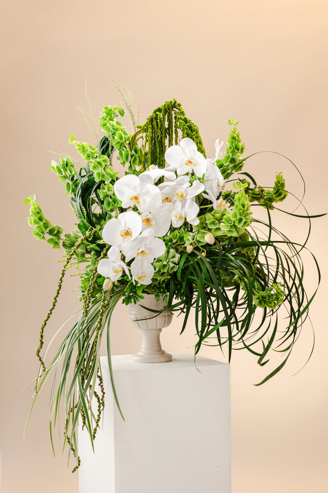 Botanical Collection