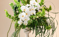 Botanical Collection