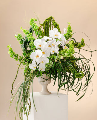 Botanical Collection