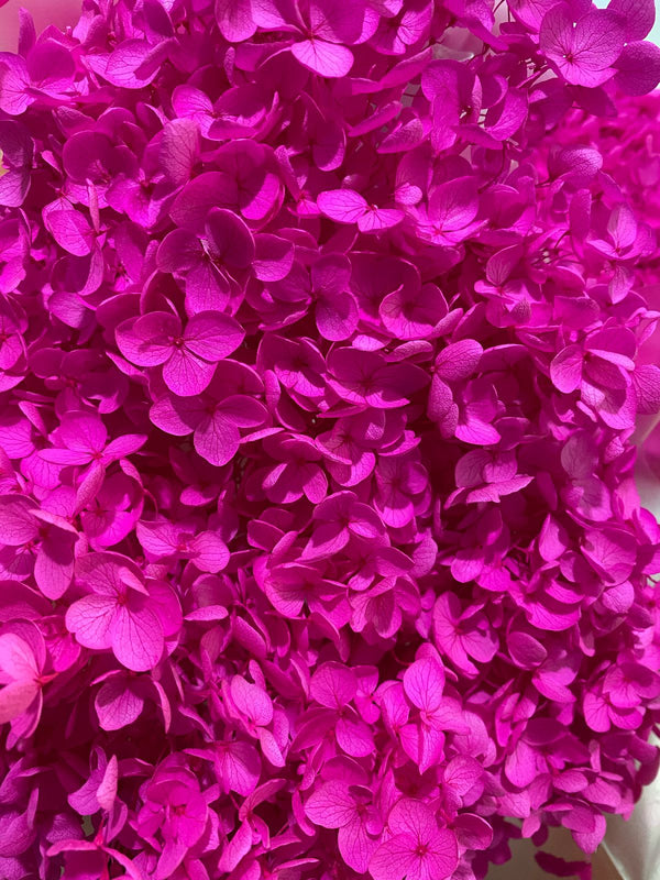Preserved Hydrangea Arrangement