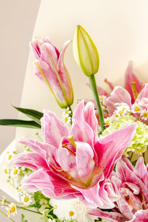 Olivia Bouquet