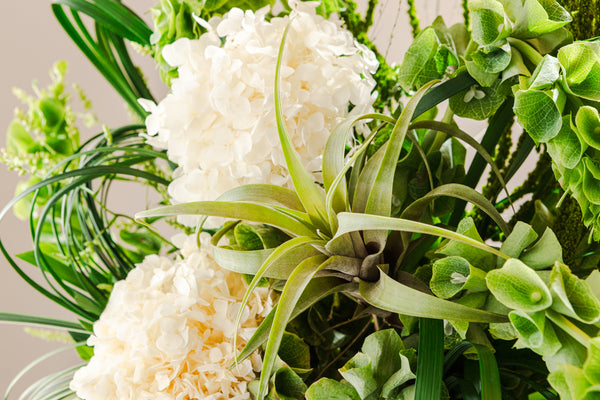 Blanc