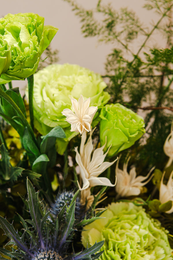 Verdure
