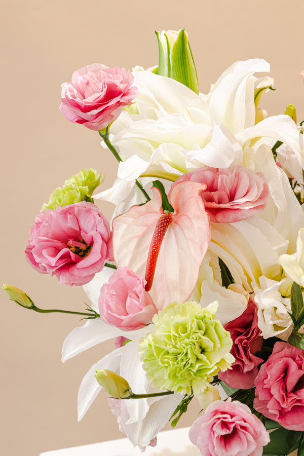 Estelle Arrangement