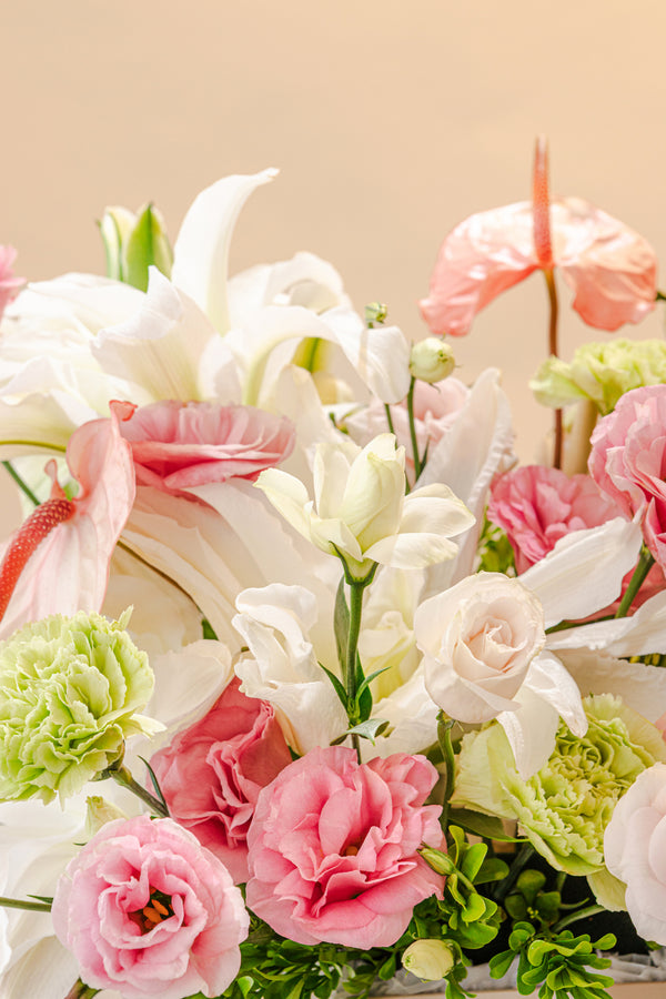 Estelle Arrangement