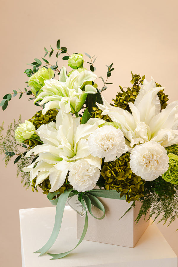 Olea Arrangement