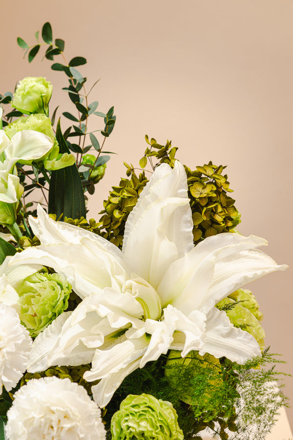 Olea Arrangement