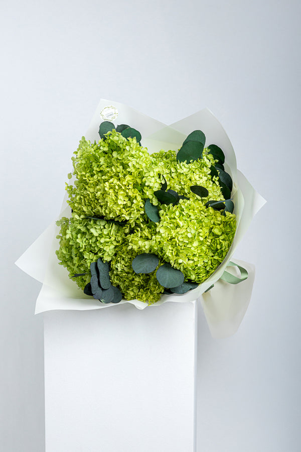 Preserved Hydrangea Bouquet