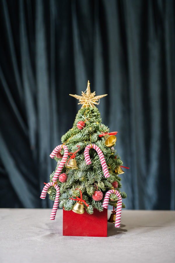 Candy Cane Tree