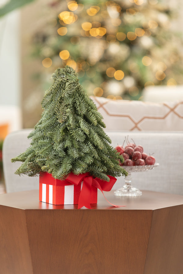 Candy Striped Tree
