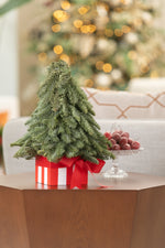 Load image into Gallery viewer, Candy Stripe Tree
