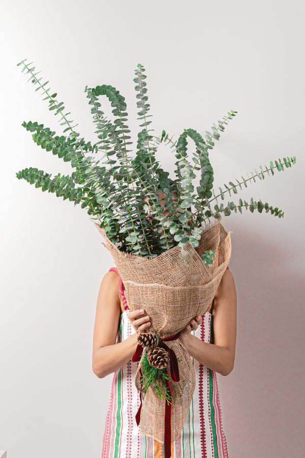 Eucalyptus Bouquet