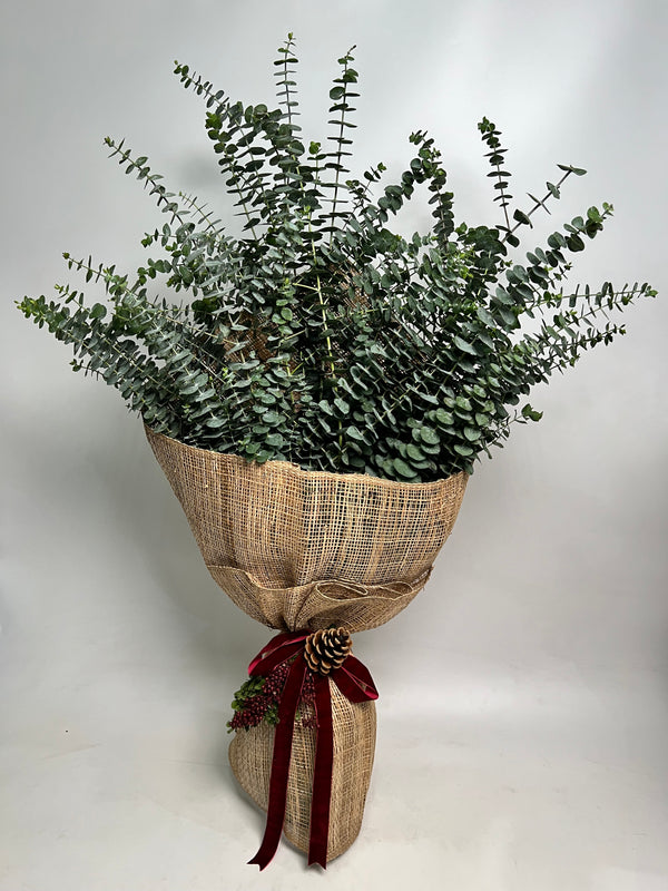 Eucalyptus Bouquet