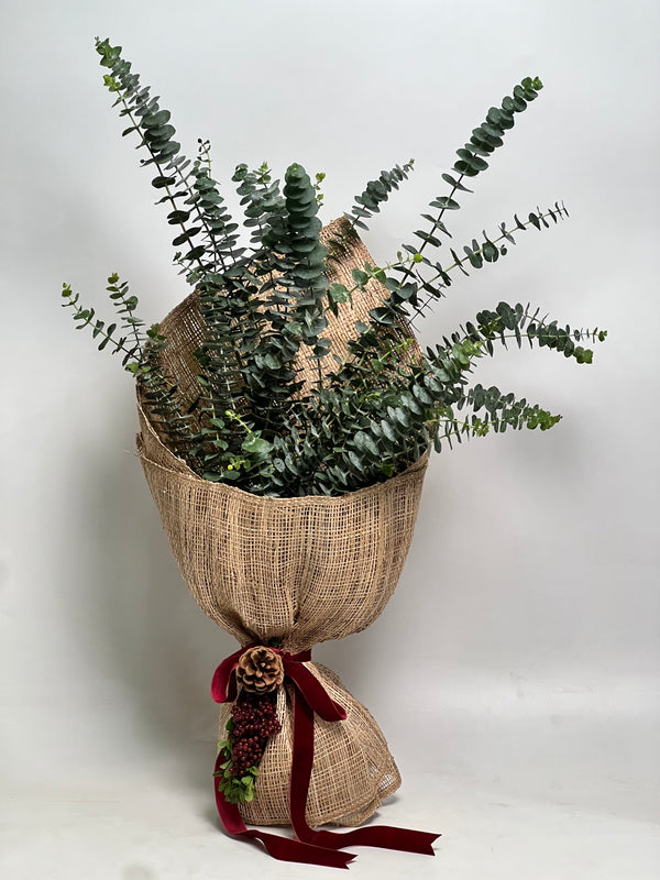Eucalyptus Bouquet