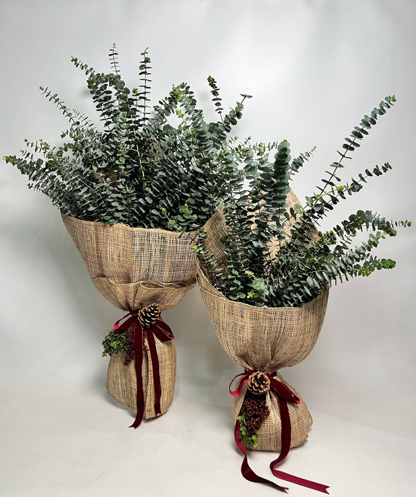 Eucalyptus Bouquet