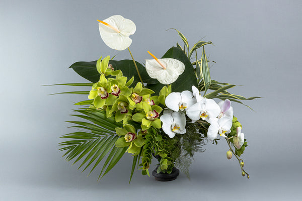 Hortus