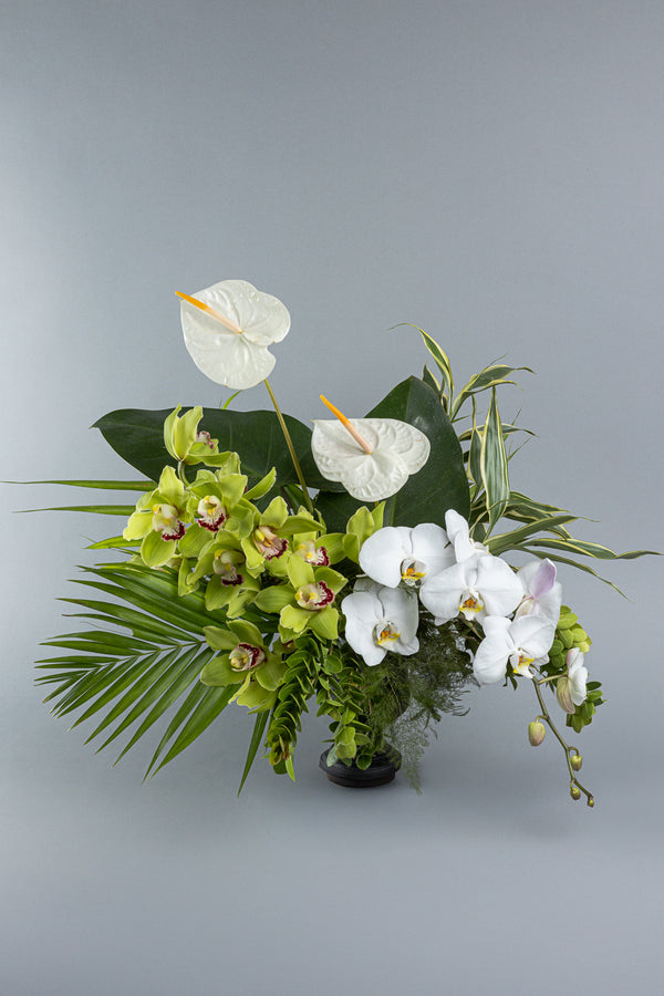 Hortus