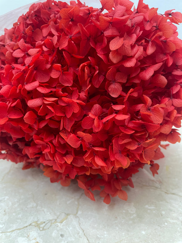Preserved Hydrangea Arrangement