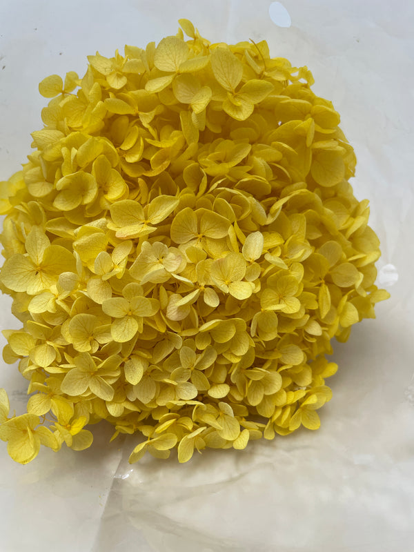 Preserved Hydrangea Arrangement