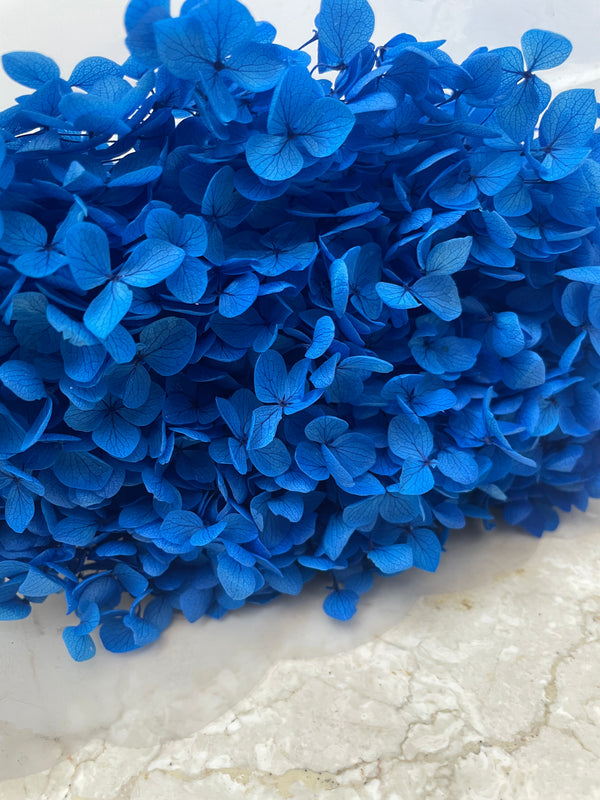 Preserved Hydrangea Arrangement