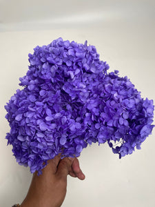 Preserved Hydrangea Arrangement