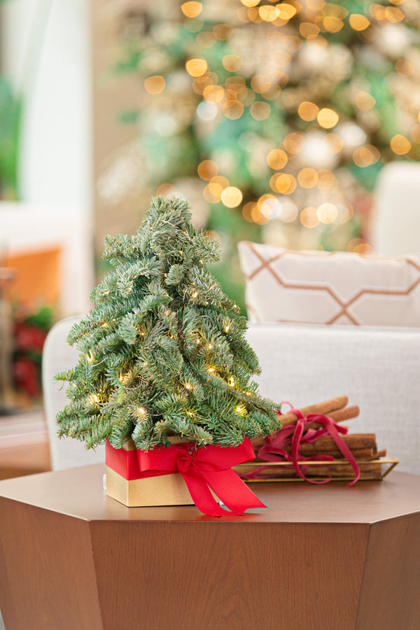 Luz Tree
