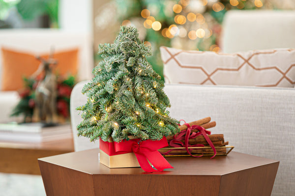 Luz Tree