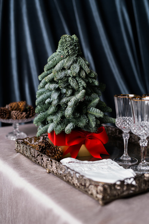 Mini Pine Trees