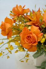 Load image into Gallery viewer, Sorrel
