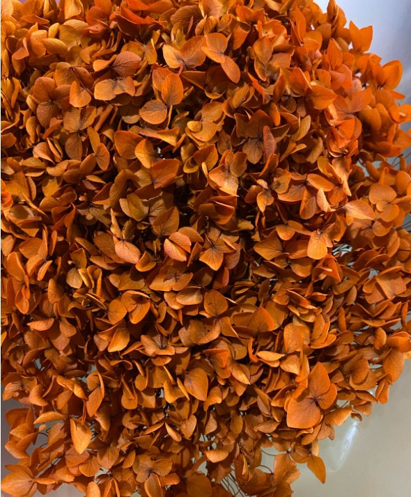 Preserved Hydrangea Arrangement
