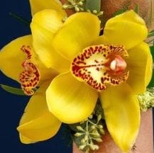 Cymbidium Orchid Arrangement