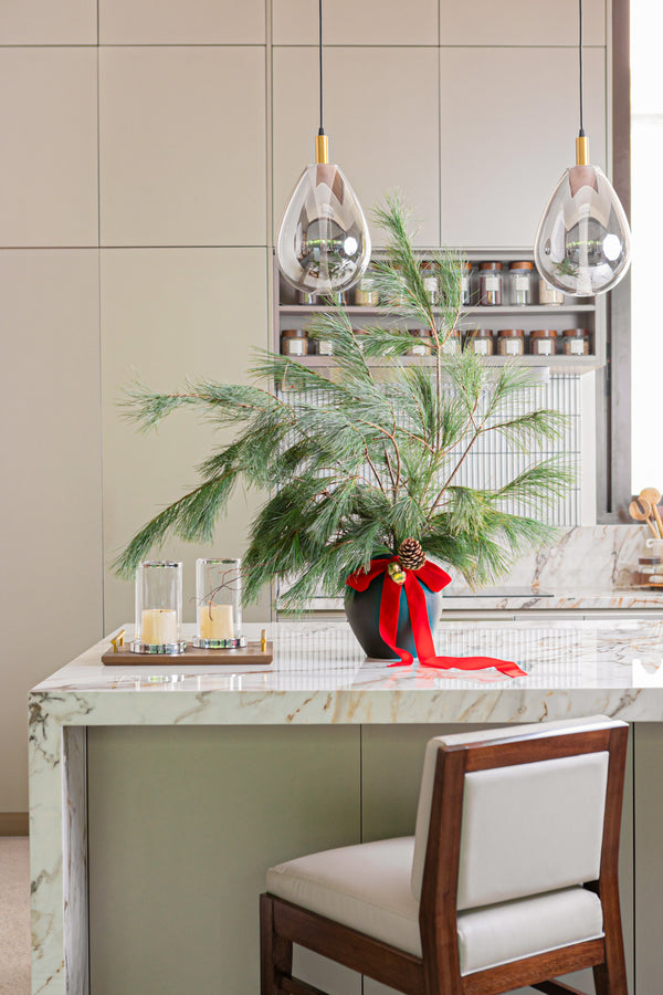 Pinus Arrangement