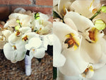 Load image into Gallery viewer, Phalaenopsis Orchid Bouquet (Round)

