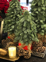 Load image into Gallery viewer, Imported  Pinecones
