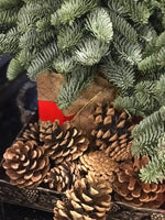 Load image into Gallery viewer, Imported  Pinecones
