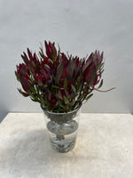 Load image into Gallery viewer, Protea safari Flowers
