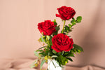 Load image into Gallery viewer, Trio Ecuadorian Roses
