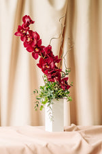 Load image into Gallery viewer, Cymbidium Orchid Arrangement
