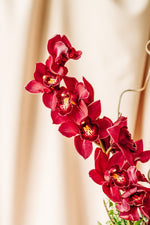 Load image into Gallery viewer, Cymbidium Orchid Arrangement
