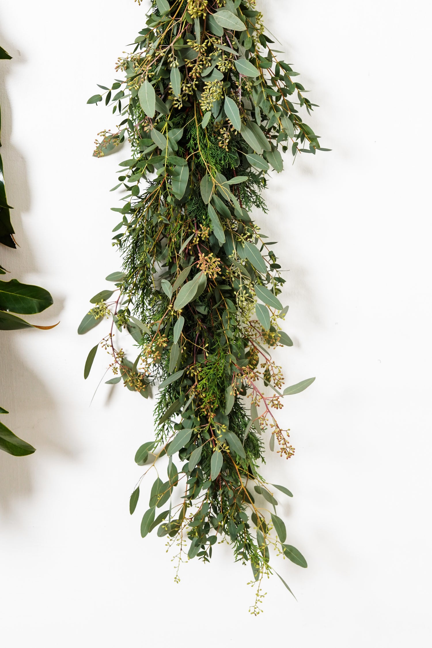 Evergreen Garlands