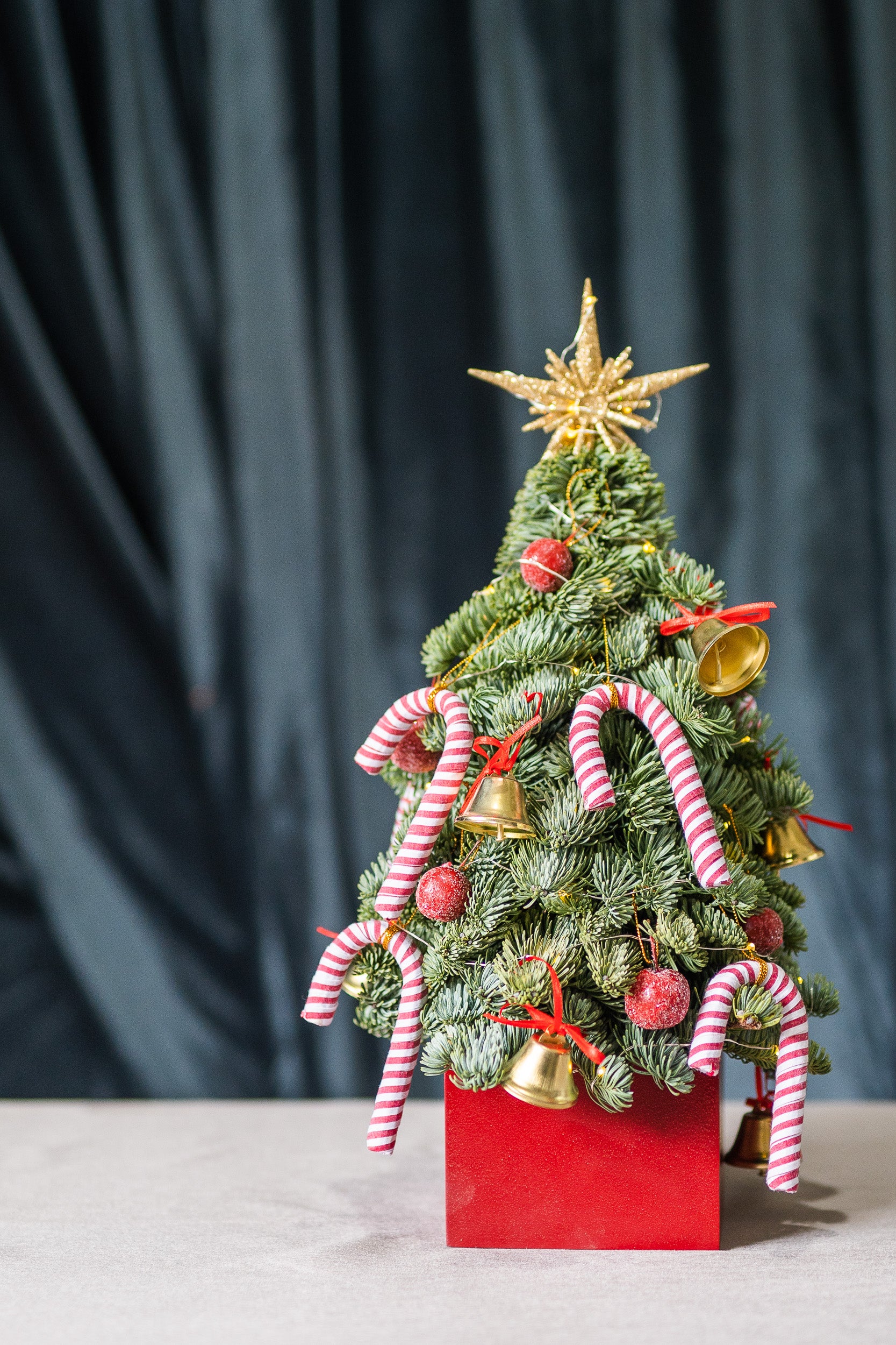 Mini Tree Ornaments (Candy Cane)