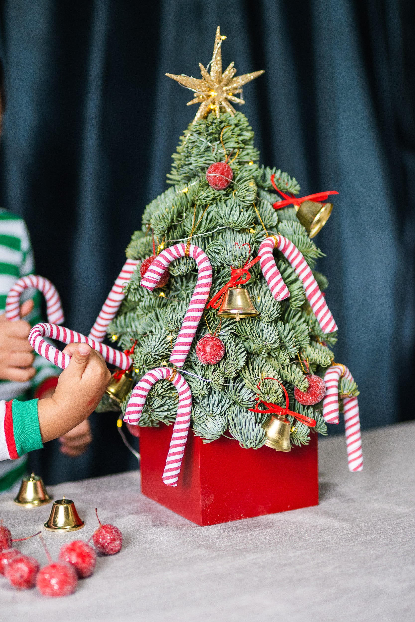 Mini Tree Ornaments (Candy Cane)