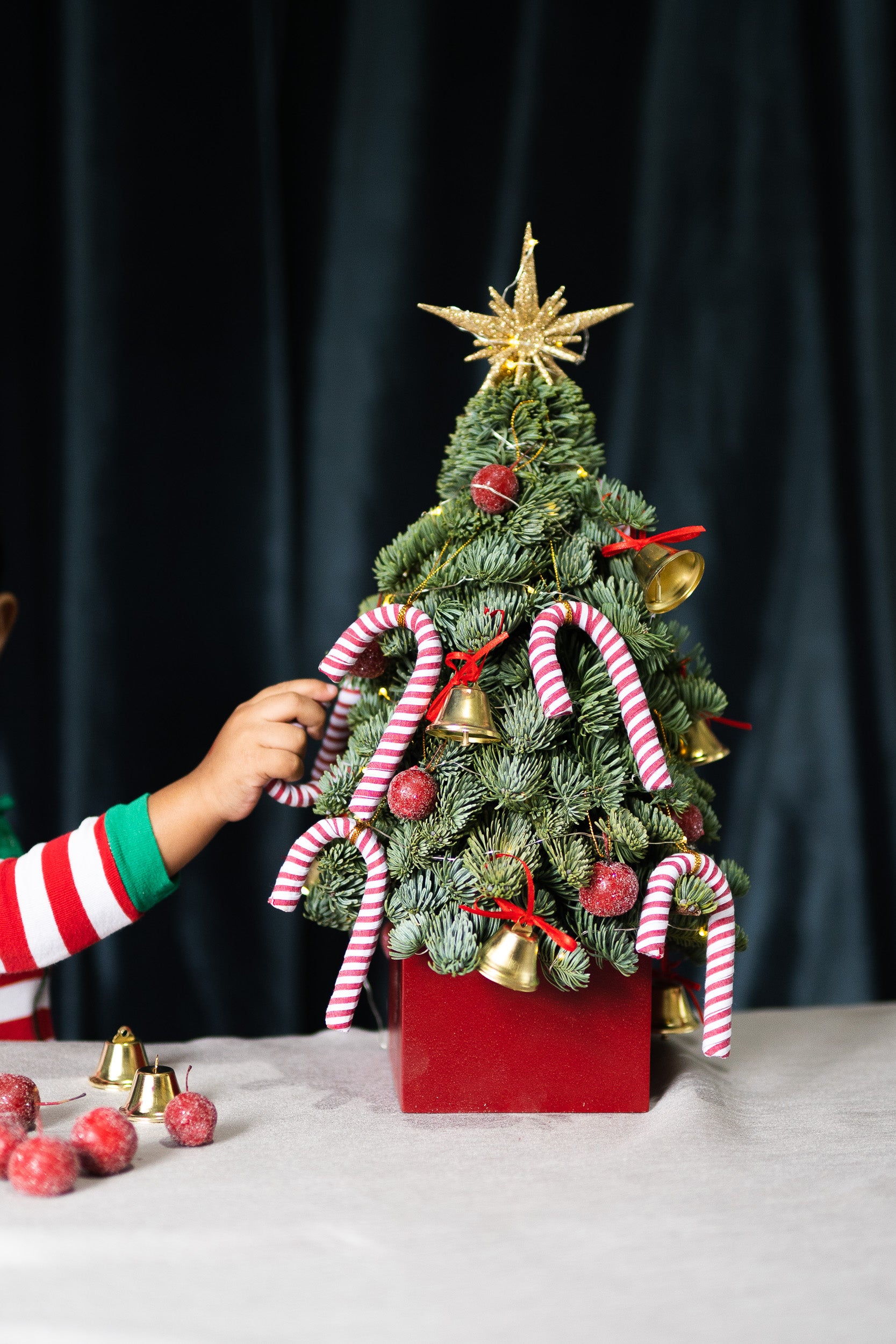 Mini Tree Ornaments (Candy Cane)