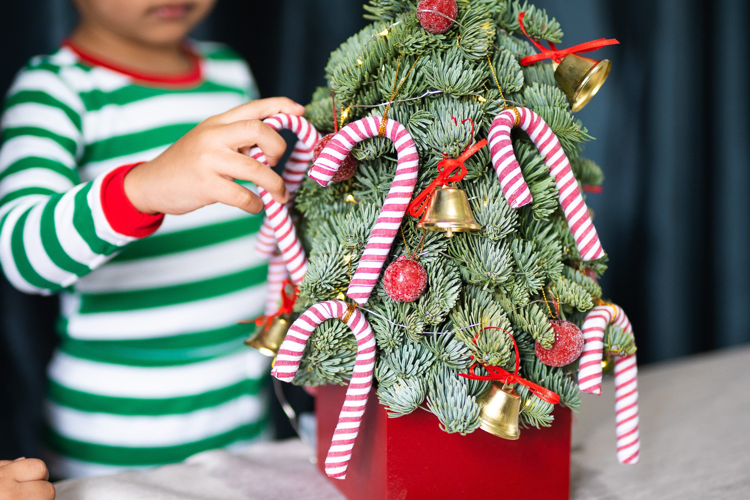 Mini Tree Ornaments (Candy Cane)