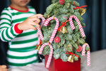 Load image into Gallery viewer, Mini Tree Ornaments (Candy Cane)
