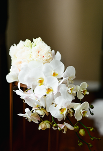 Phalaenopsis Orchid Bouquet (Cascade)